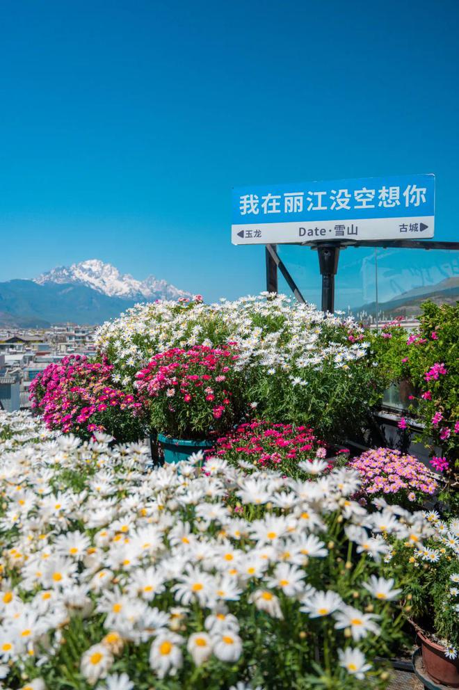 】重庆美女嫁到丽江后竟拿屋顶来赚钱！mg不朽情缘游戏网站登录【读本头条(图14)