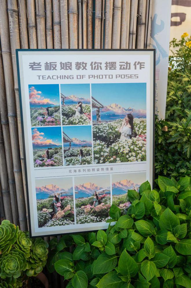 】重庆美女嫁到丽江后竟拿屋顶来赚钱！mg不朽情缘游戏网站登录【读本头条(图18)