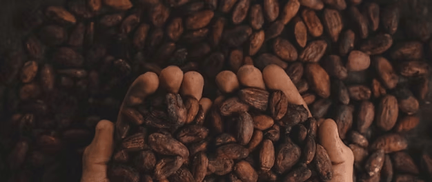 冻」东鹏2025三季度营收同比增长303